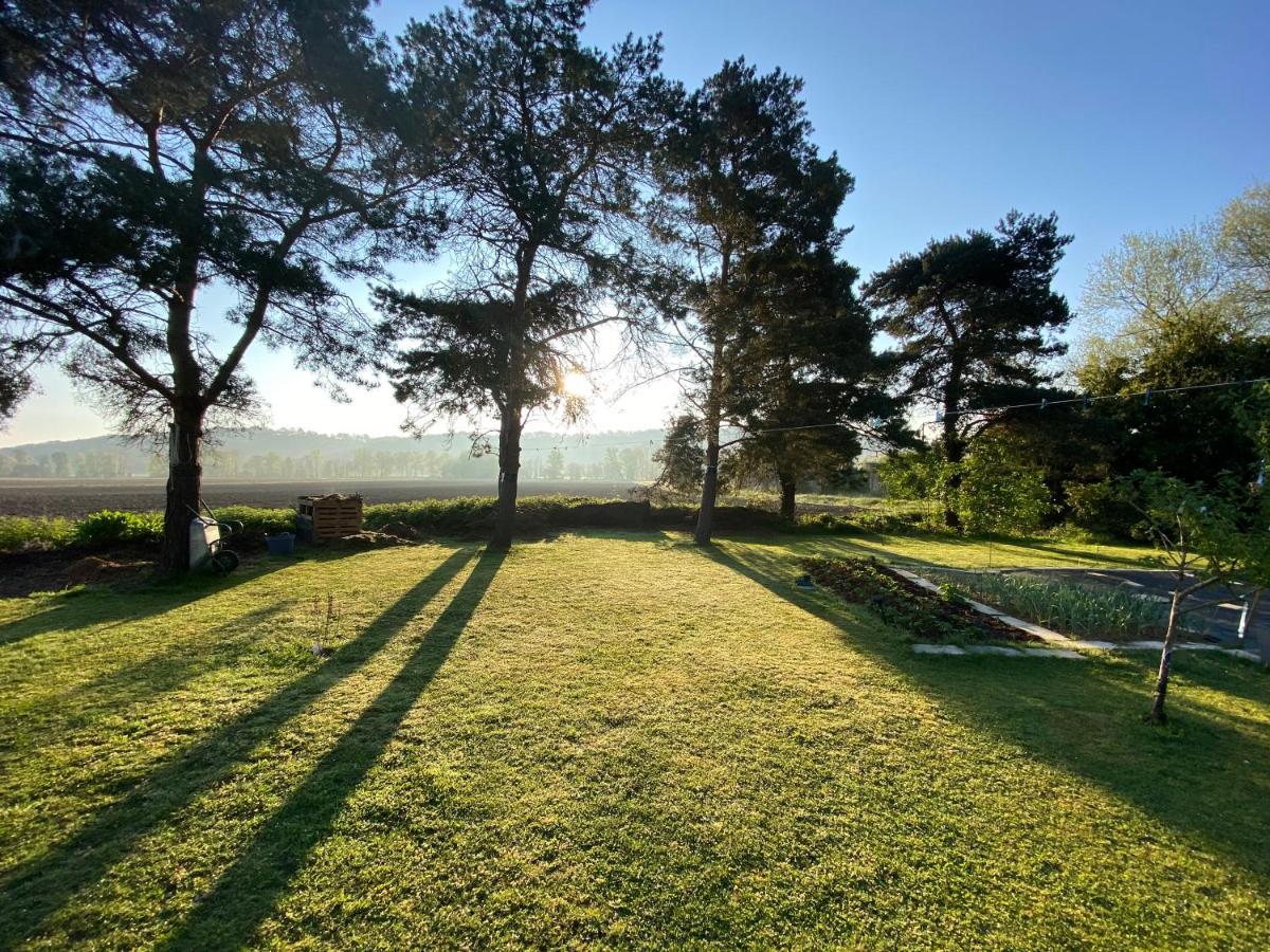 Bed and Breakfast Domaine Du Tafiart Sarron Exteriér fotografie
